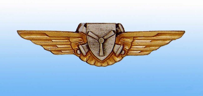 Brevet Mécanicien volant ALAT