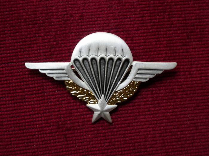 Insigne Brevet Parachutiste de l’Armée de Terre Française