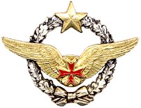 Insigne Brevet de Convoyeuse de l’Armee de l Air Drago
