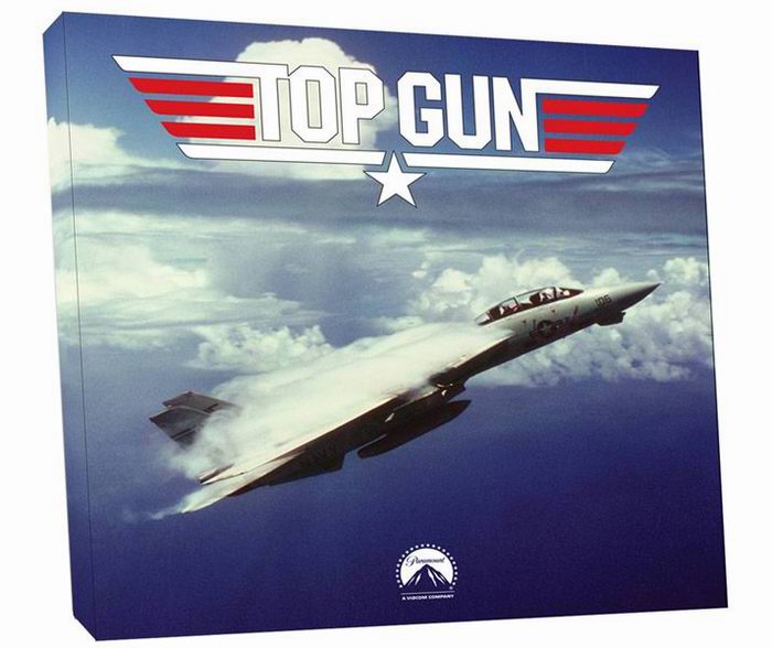 Tableau monté sur chassis en toile Top Gun Avion de Chasse Grumman F-14 Tomcat