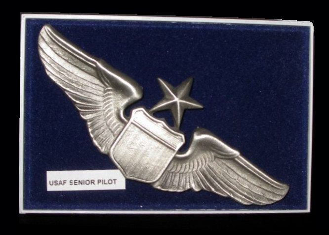 Insigne Brevet Pilote Senior USAF
