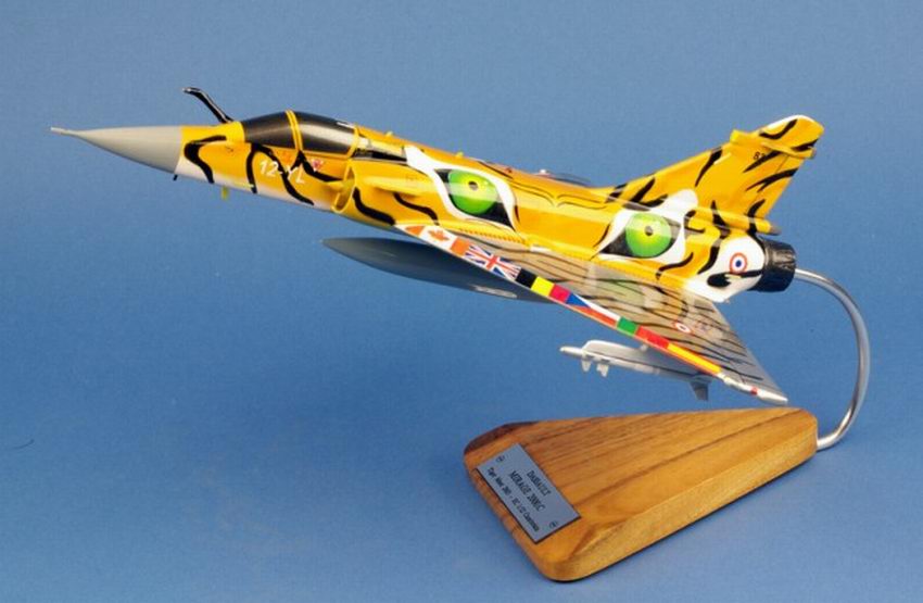 maquette Avion de chasse militaire Mirage 2000C EC 1/12 Cambrésis NATO Tiger Meet DASSAULT AVIATION