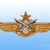 Brevet Pilote Tireur Missile ALAT