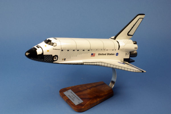 Endeavour100 1