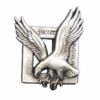 Insigne Commando de l air