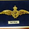 Insigne RAF logo