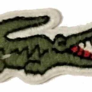 crocodile2